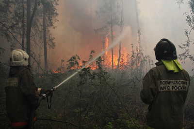 Под Брянском 15 июня произошёл лесной пожар 