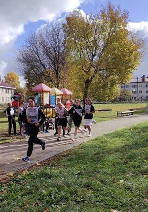 250 участников испытали себя на фестивале ГТО в Брянском районе