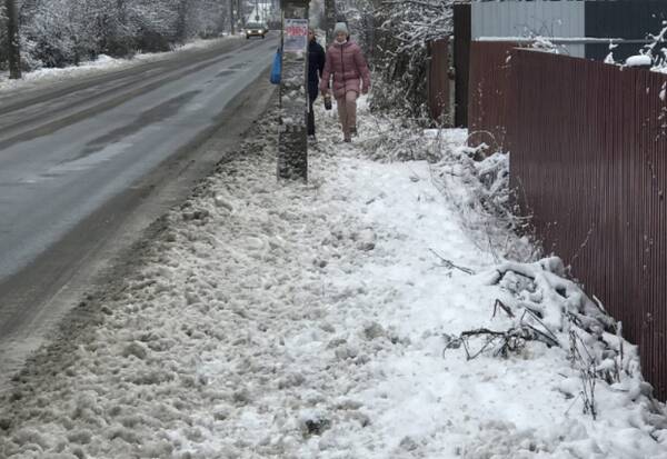 Брянца возмутил утонувший в снегу тротуар в Бежице