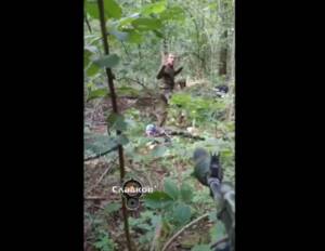 В брянском лесу поймали группу украинских диверсантов