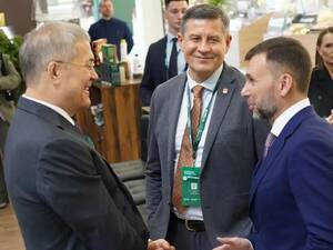 На Брянщине растёт единственная в Европе женьшеневая плантация