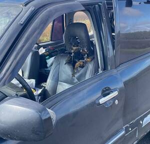 Соцсети: ВСУ атаковали автомобиль в Брянской области, есть погибшие