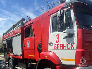 В Брянской области потушили четыре пожара за одни сутки