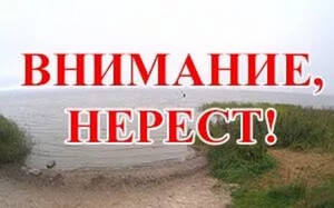 В Брянской области введут ограничения на рыбалку