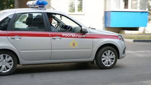 Брянские росгвардейцы за неделю 347 раз выезжали по сигналу «тревога»