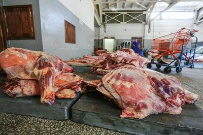 В Брянской области уничтожили 220 кило подозрительного мяса