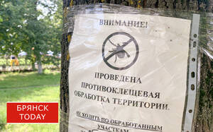 Ситуацию с клещами в Брянске взяла на контроль прокуратура