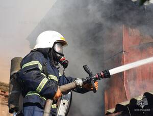 В жутком пожаре под Новозыбковом погиб 66-летний мужчина