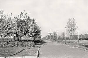 Брянцам показали Курган Бессмертия 45-летней давности