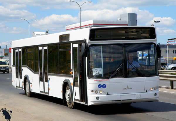 В Брянске автобус №12 добавили в систему «Умный транспорт»