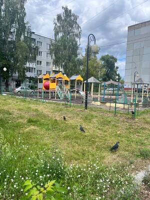 Площадку-детоубийцу в Брянске огородили ленточкой