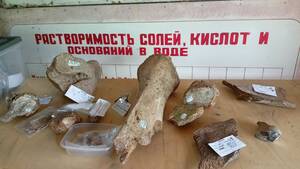 Археологи нашли украшения III века нашей эры под Брянском