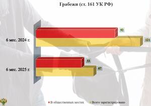 Жителей Брянской области стали реже грабить