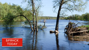 Брянцев предупредили о сильном половодье весной