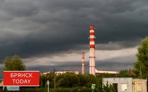 «Фронтовая птичка»: названа предполагаемая цель атаки ВСУ на Клинцы