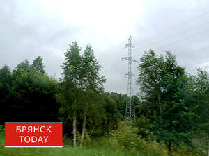 Погодное предупреждение объявили брянцам синоптики