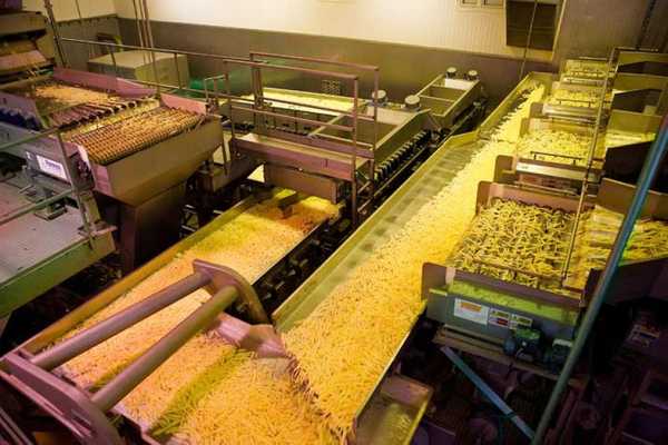 Канадская компания построит на Брянщине завод по переработке картофеля