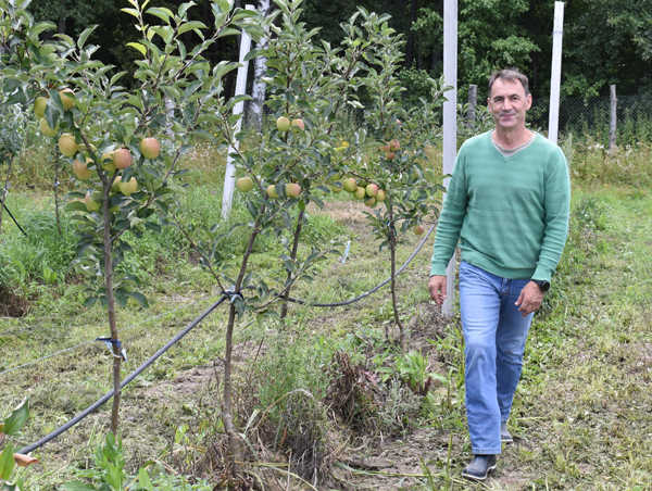 «Яблоневый» инвестпроект готов дать первый урожай