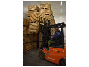 В «Брянском саду» идёт сбор урожая яблок