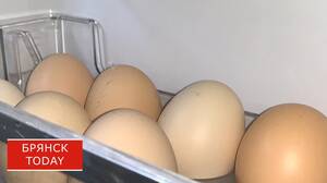 Назван срок снижения цен на яйца в Брянской области