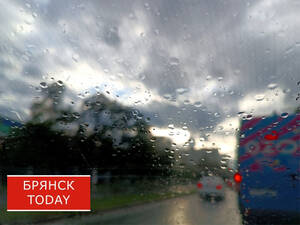 Дождливо и туманно: брянцам сообщили о погоде на 9 октября