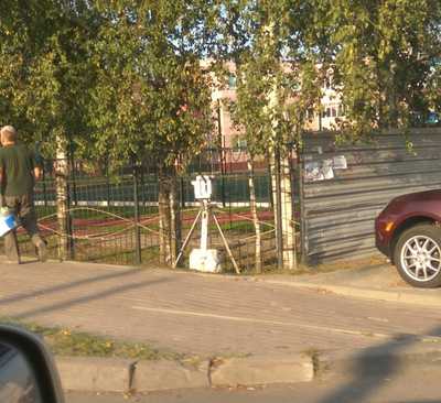 В Брянске на Станке Димитрова сняли на фото хитрого смотрящего за фотоловушкой