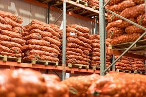 Ритейлер X5 расширяет сотрудничество с брянскими сельхозпроизодителями