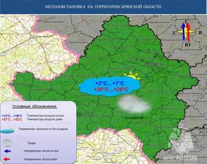 Брянск готовится к жаре под 30 градусов