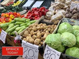 Брянскстат отчитался: рост цен в декабре составил 0,5%