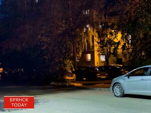 В Брянске оштрафовали автоледи за парковку на пешеходном переходе