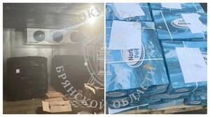 В Злынке осудили контрабандиста за четыре тонны скумбрии