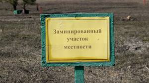Брянщину назвали среди регионов, нуждающихся в разминировании