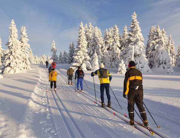 Жители Климова вскладчину делают лыжную трассу