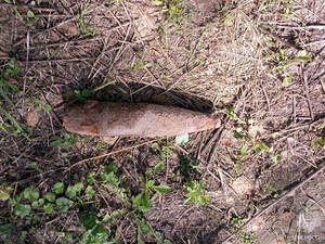 Саперы предотвратили взрыв в Брасовском районе