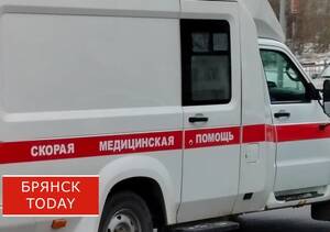 В брянской Злынке женщина замерзла насмерть во дворе своего дома