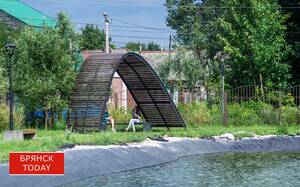 Брянец вспомнил о дочери после ареста имущества 