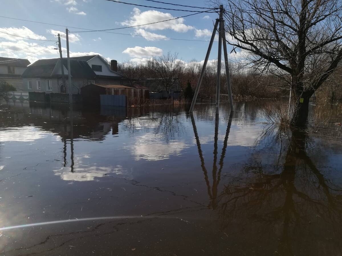 В Брянске за сутки уровень воды в Десне снизился на семь сантиметров